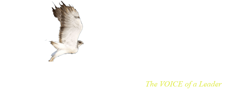 The Campaigner Online